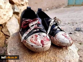 دود دیپلماسی بدون مقاومت؛ در چشم دختران شیعه افغان