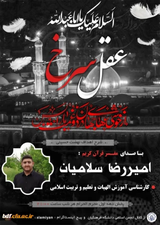 عقل سرخ (شرح اهداف نهضت حسینی)