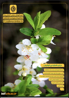 شماره١٣ نشریه فرهنگی سیاسی اجتماعی رسام 